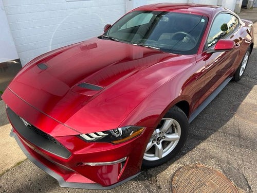2019 Ford Mustang EcoBoost