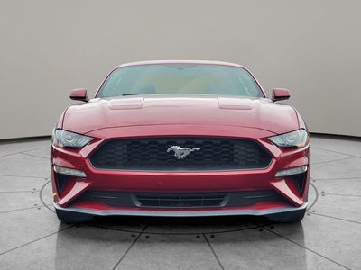 2019 Ford Mustang EcoBoost