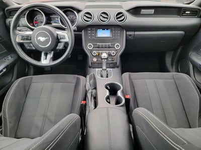 2019 Ford Mustang EcoBoost