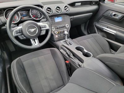 2019 Ford Mustang EcoBoost