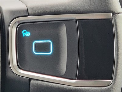 2025 Ford Expedition Active MAX