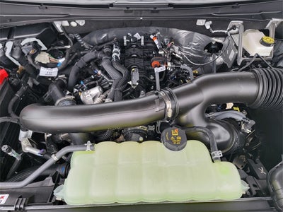 2025 Ford Expedition Active MAX