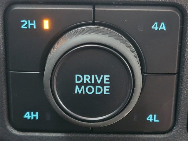 2025 Ford Expedition Active MAX